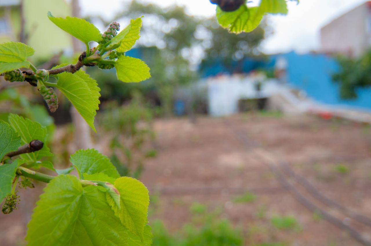 La Huerta De Manuel Tejina Exterior foto